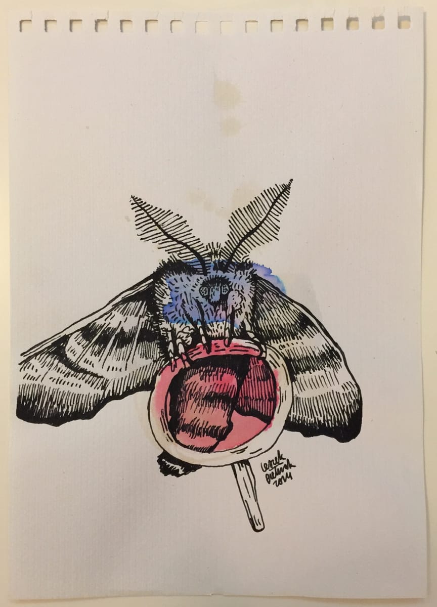 moth-2-2014-poor-quality-photo